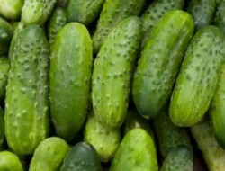 Dill Cucumbers
