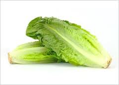 Lettuce Cos Green